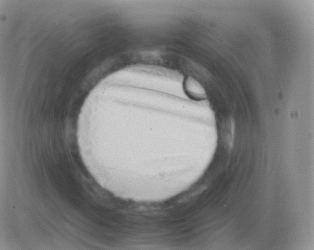 X0000082741395200702240001