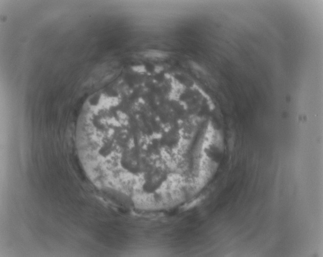 X0000082741397200702240001