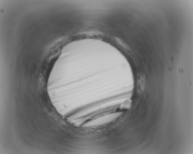 X0000082741398200702240001