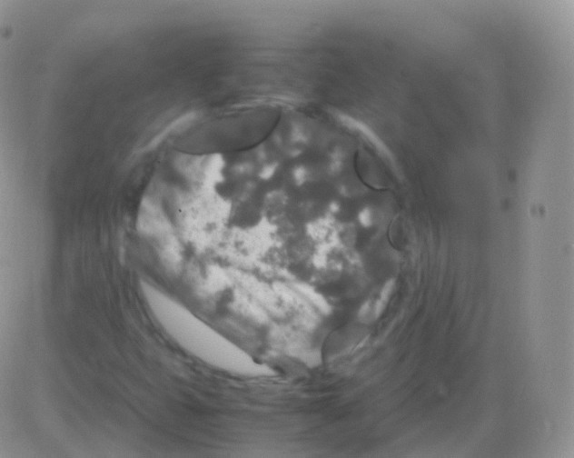 X0000082741399200702240001