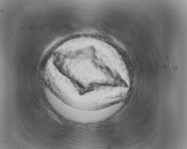 X0000082741400200702240001