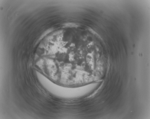 X0000082741401200702240001