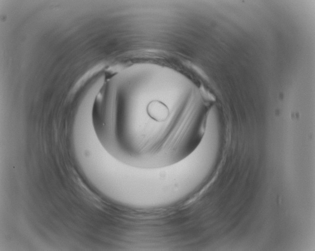 X0000082741402200702240001