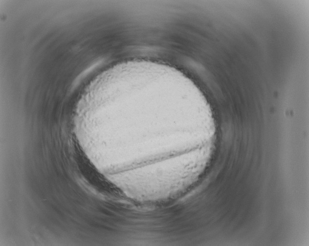 X0000082741403200702240001