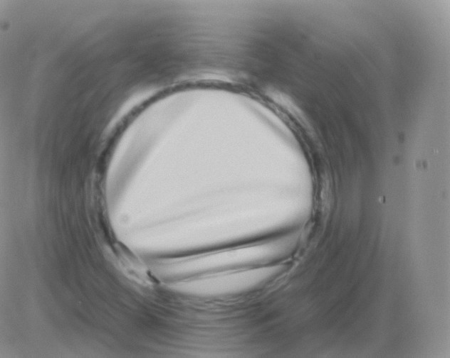 X0000082741404200702240001