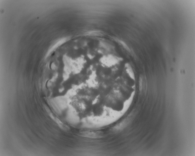 X0000082741405200702240001