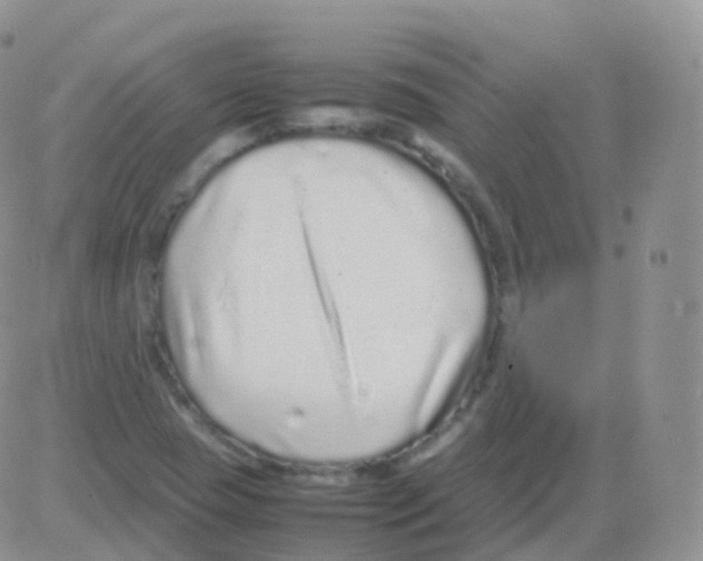 X0000082741409200702240001