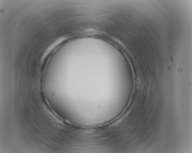 X0000082741410200702240001