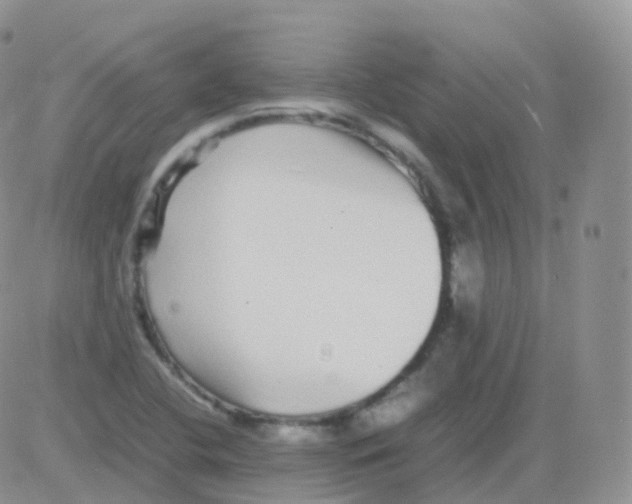 X0000082741412200702240001