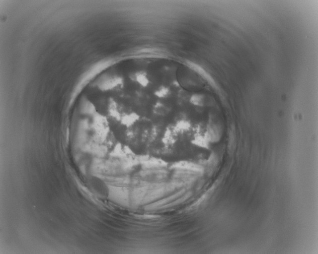 X0000082741413200702240001