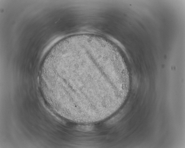 X0000082741415200702240001