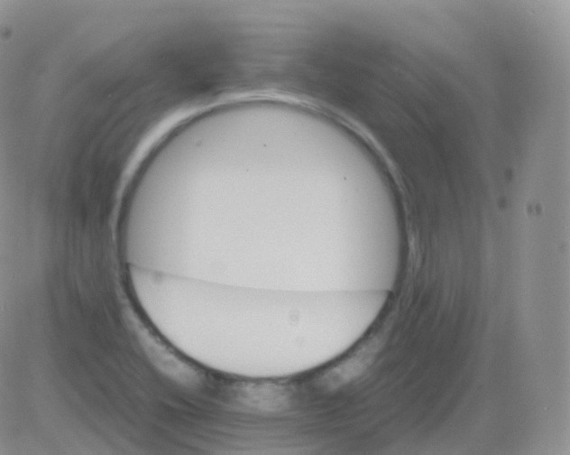 X0000082741416200702240001