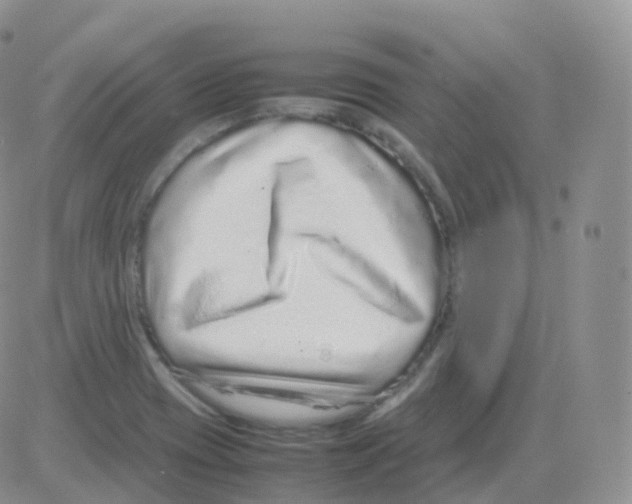 X0000082741417200702240001