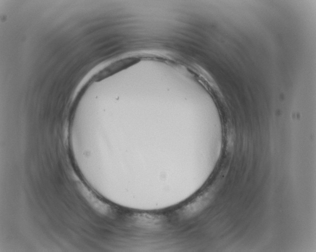 X0000082741420200702240001