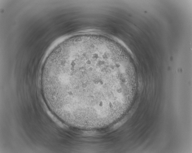 X0000082741421200702240001