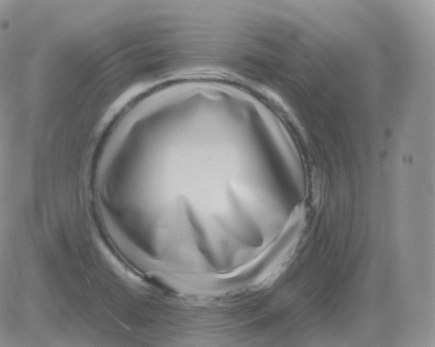 X0000082741422200702240001