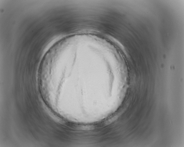 X0000082741423200702240001