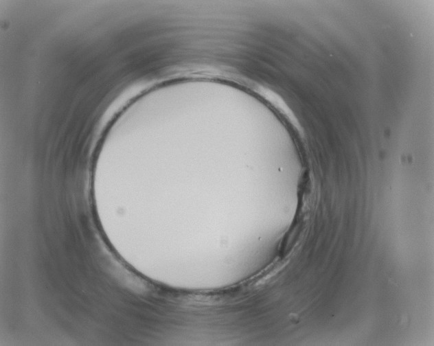 X0000082741424200702240001