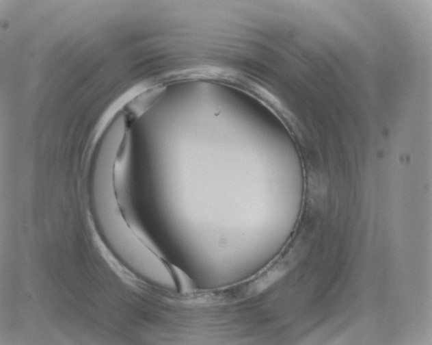 X0000082741426200702240001