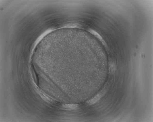 X0000082741427200702240001