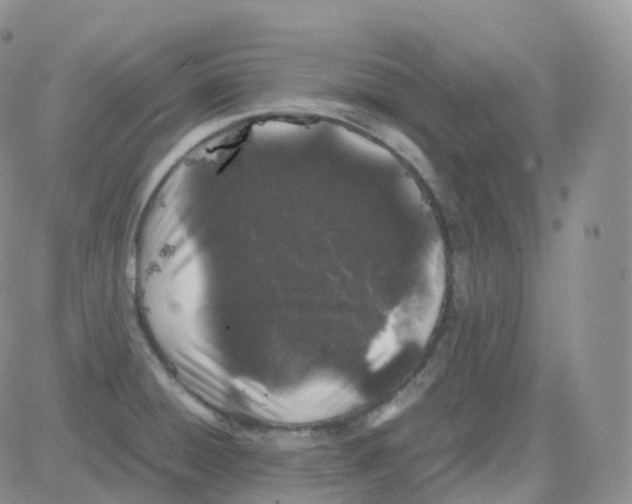 X0000082741428200702240001