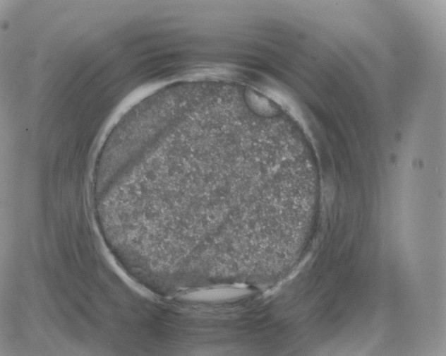 X0000082741429200702240001