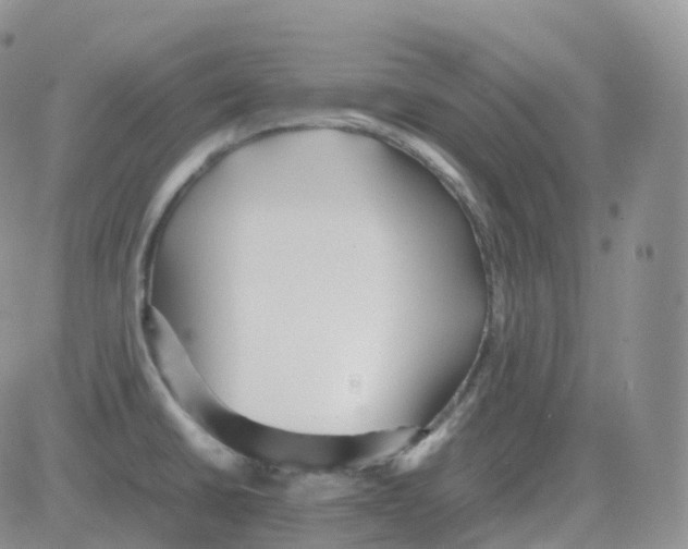 X0000082741430200702240001