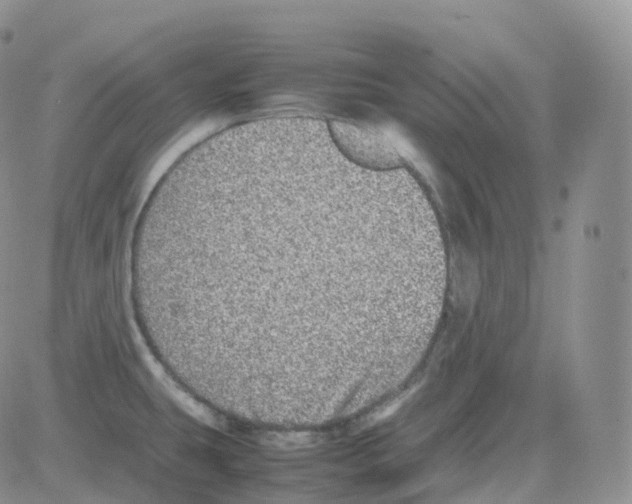 X0000082741431200702240001