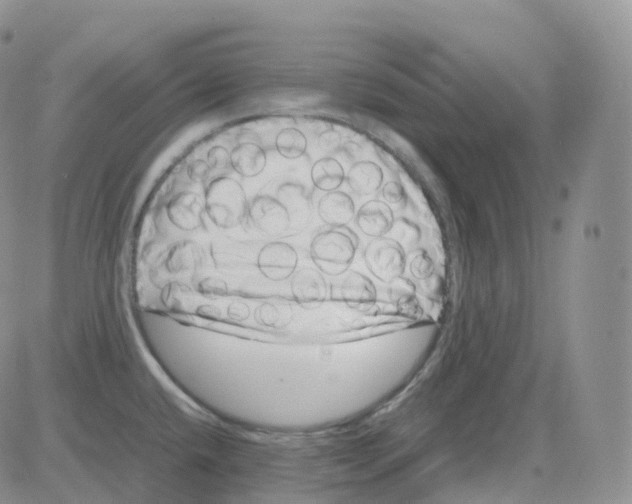 X0000082741432200702240001