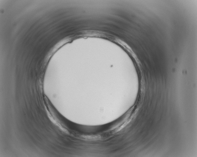 X0000082741433200702240001