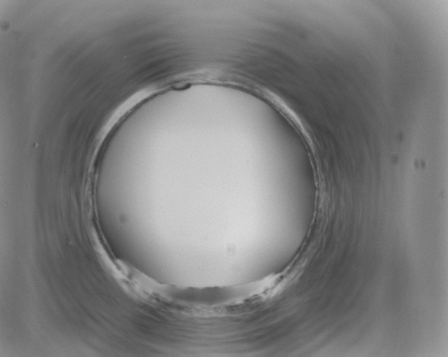 X0000082741434200702240001