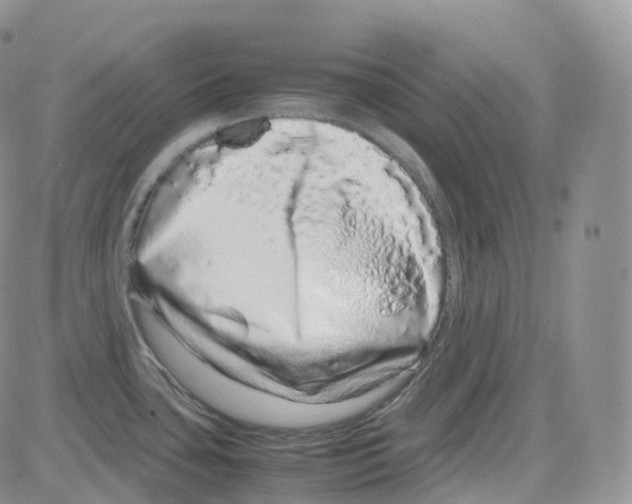 X0000082741435200702240001