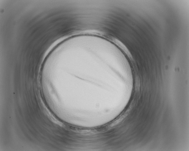 X0000082741436200702240001