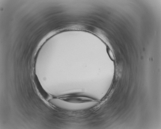 X0000082741437200702240001