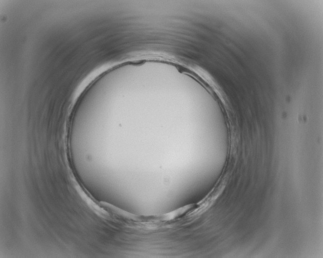 X0000082741438200702240001