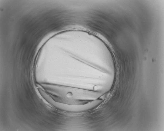 X0000082741440200702240001