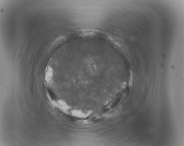 X0000082741441200702240001