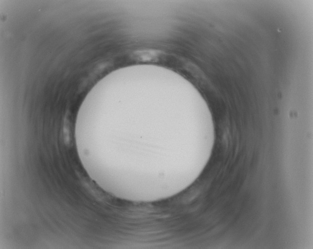 X0000082741442200702240001