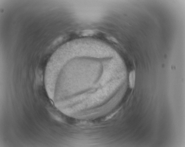 X0000082741443200702240001