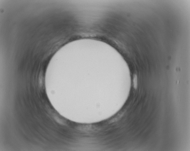 X0000082741444200702240000