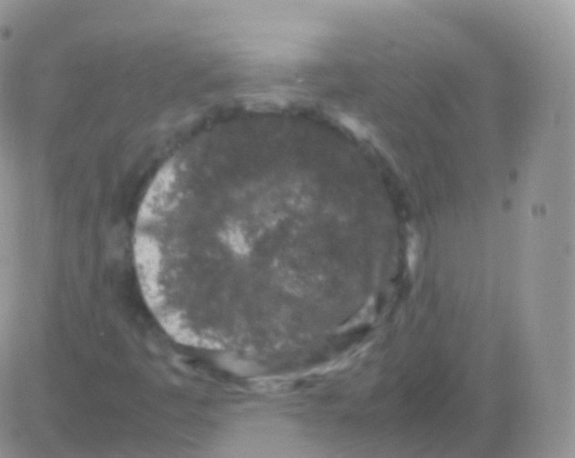 X0000082741445200702240000