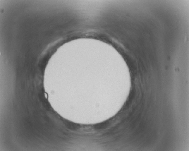 X0000082741447200702240000