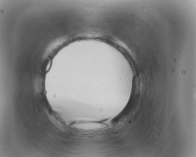 X0000082741448200702240000