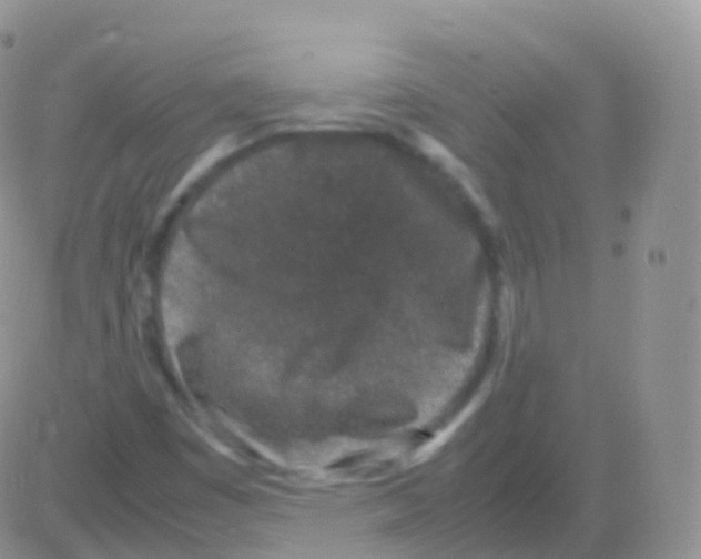 X0000082741449200702240000