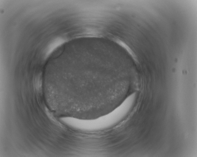 X0000082741450200702240000