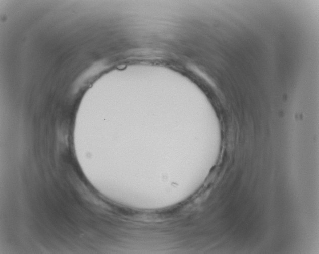 X0000082741451200702240000