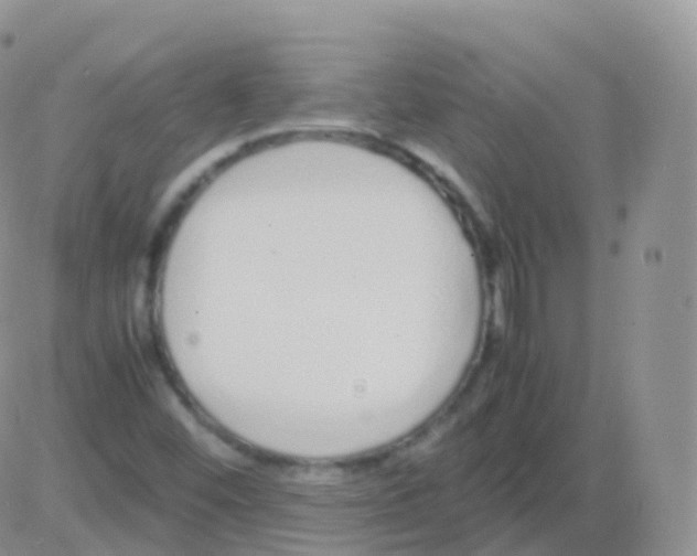 X0000082741452200702240000