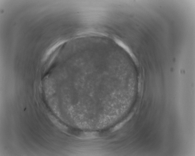 X0000082741453200702240000