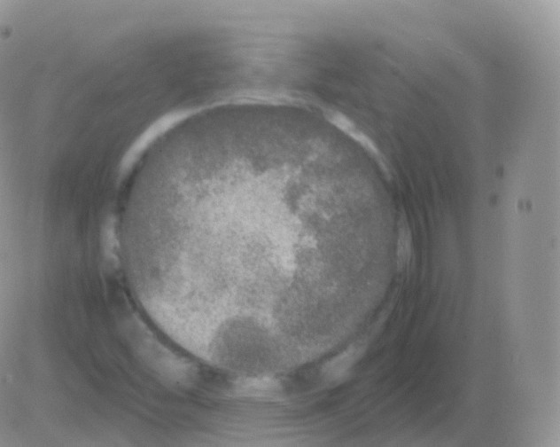 X0000082741454200702240000