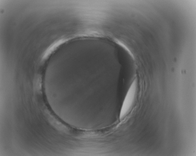 X0000082741455200702240000